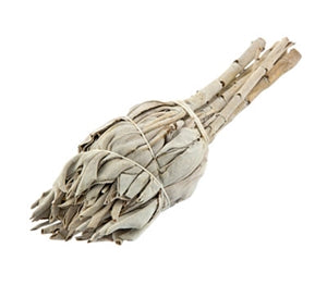 Sage: White "Torch" Sage 4" - MyBakhoor