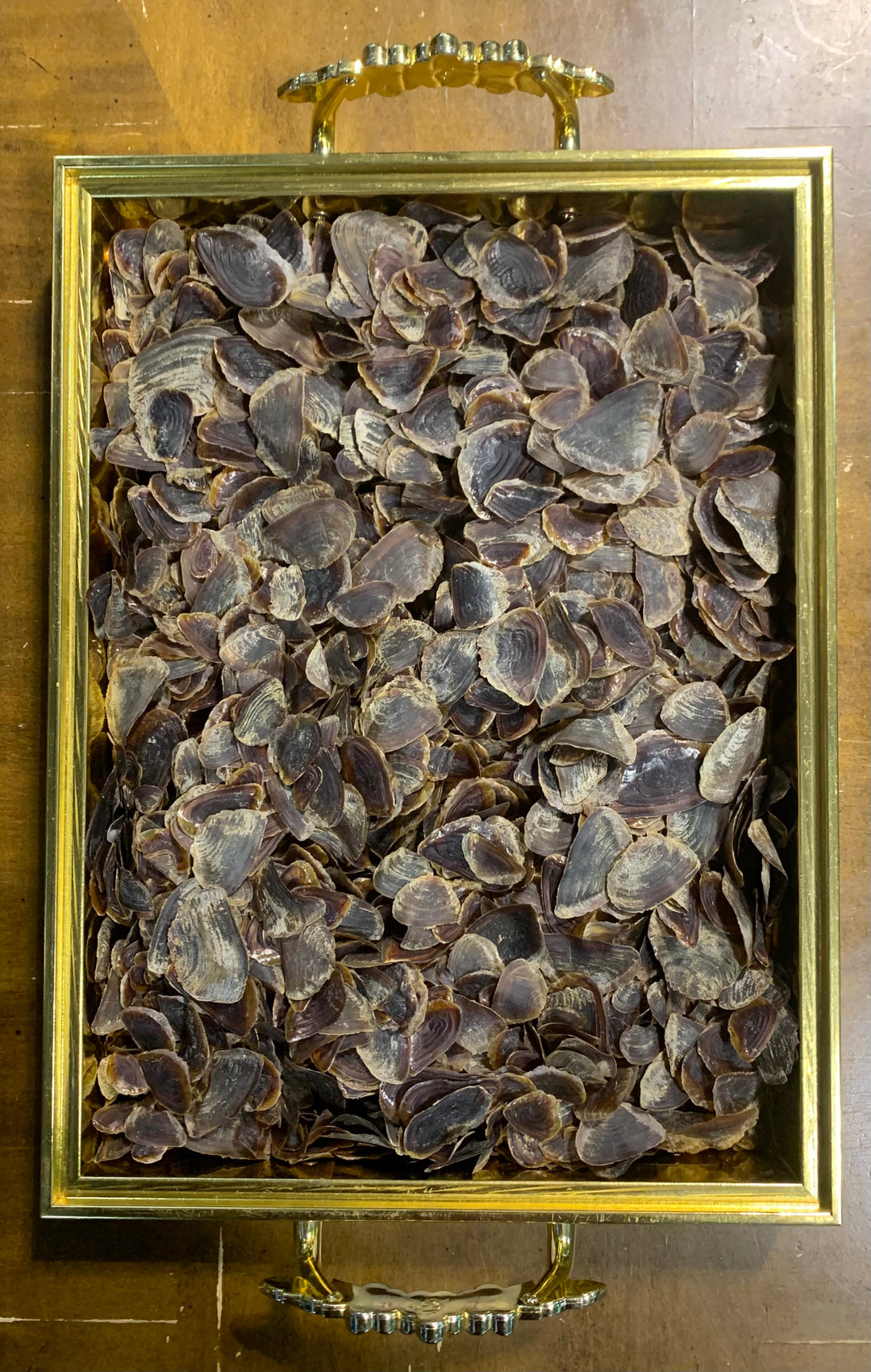 image_61754680-81a9-440b-bff5-